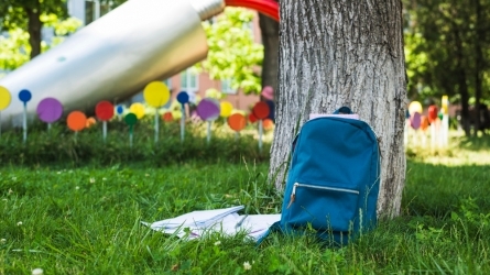 El espacio verde escolar: Diseño y uso didáctico para la educación STEM y la educación en sostenibilidad El espacio verde escolar: Diseño y uso didáctico para la educación STEM y la educación en sostenibilidad