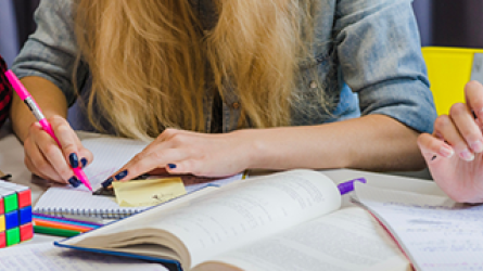 Eskola-hizkuntzaren garapena ulermenerako gako: irakasleentzat estrategiak II